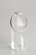 Ouroboros Ring