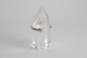 Ouroboros Ring