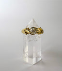 The Florentine Ring