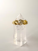 The Florentine Ring
