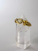 The Florentine Ring