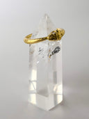 Ouroboros Ring